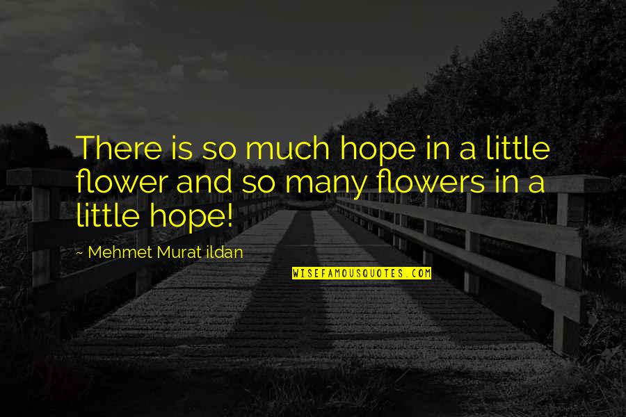 Feelnto Quotes By Mehmet Murat Ildan: There is so much hope in a little