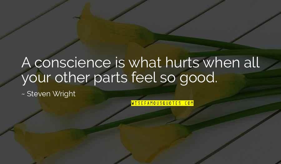 Feels Hurt Quotes By Steven Wright: A conscience is what hurts when all your