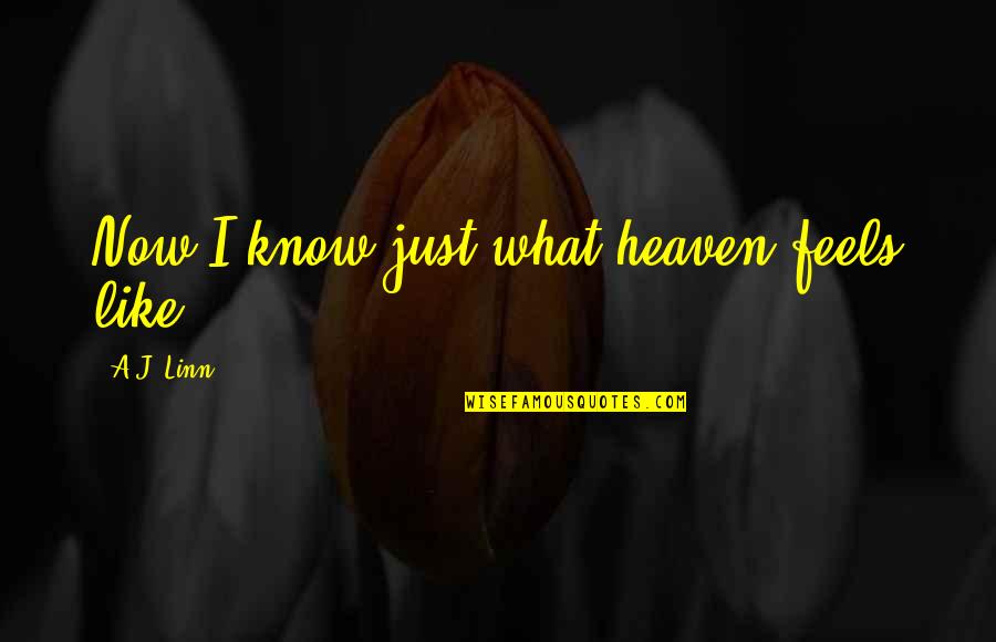 Feels Like Heaven With You Quotes By A.J. Linn: Now I know just what heaven feels like...