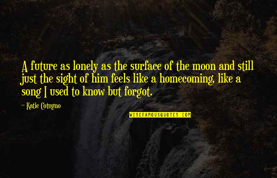 Feels Like Home Quotes By Katie Cotugno: A future as lonely as the surface of