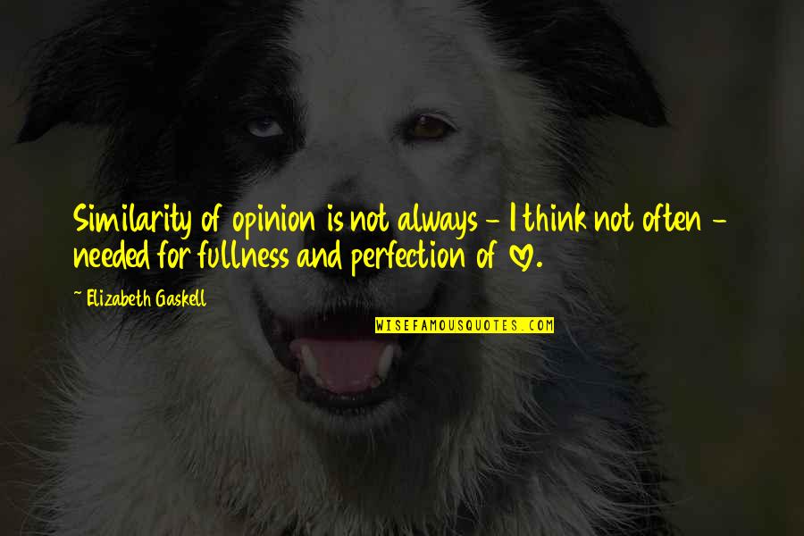 Feelsokman Quotes By Elizabeth Gaskell: Similarity of opinion is not always - I