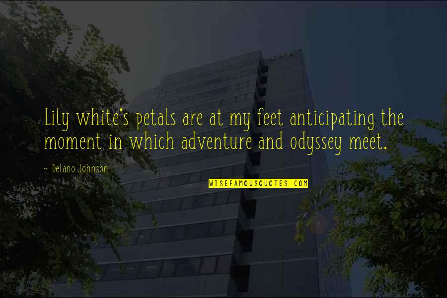 Feet And Adventure Quotes By Delano Johnson: Lily white's petals are at my feet anticipating