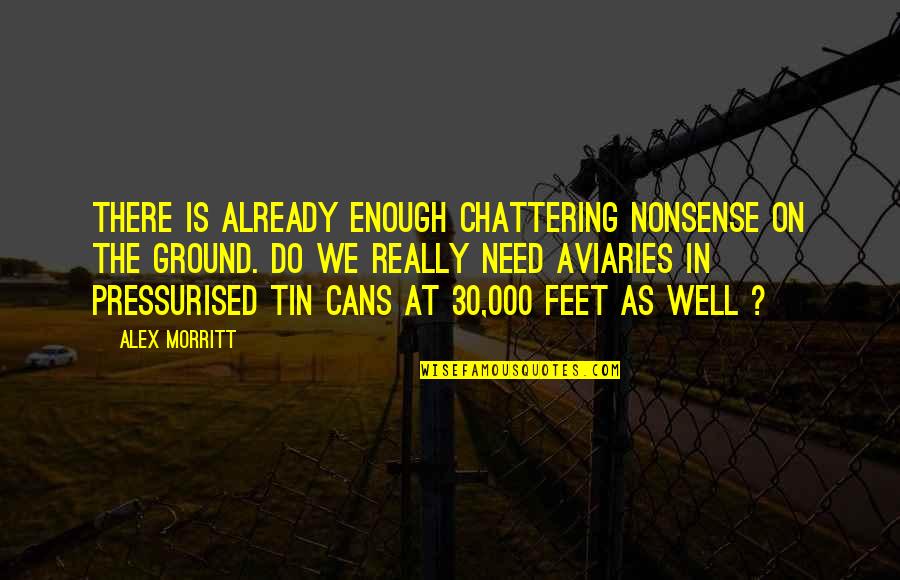 Feet And Travel Quotes By Alex Morritt: There is already enough chattering nonsense on the