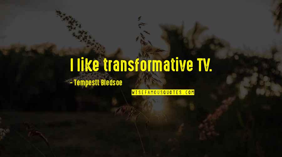 Feet Grounded Quotes By Tempestt Bledsoe: I like transformative TV.