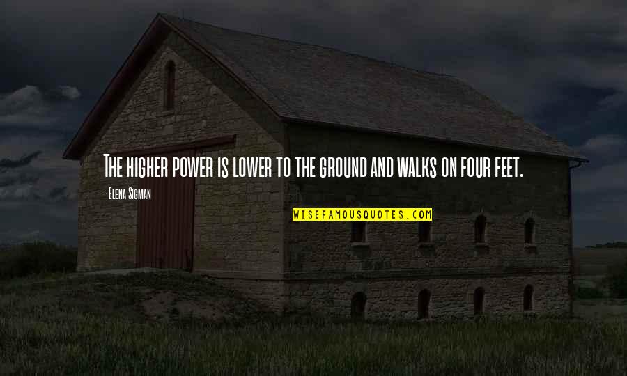 Feet On The Ground Quotes By Elena Sigman: The higher power is lower to the ground