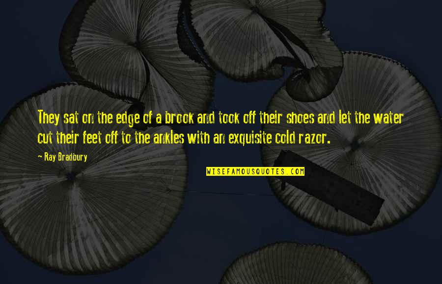 Feet Shoes Quotes By Ray Bradbury: They sat on the edge of a brook