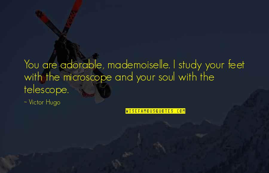 Feet Up Quotes By Victor Hugo: You are adorable, mademoiselle. I study your feet