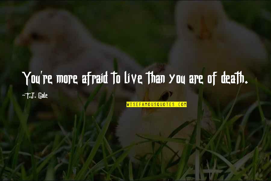 Fegelein Meme Quotes By F.J. Gale: You're more afraid to live than you are