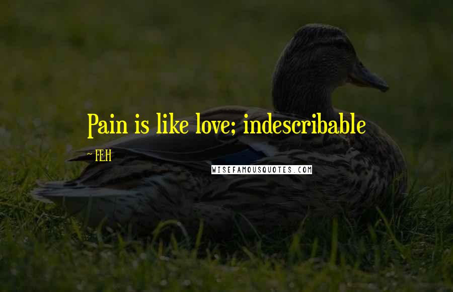 FEH quotes: Pain is like love; indescribable