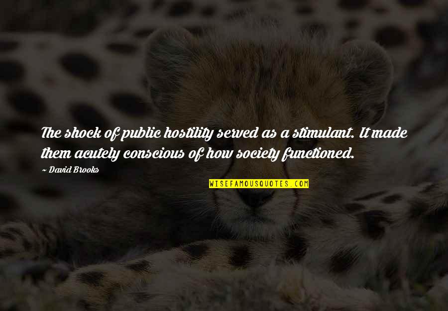 Fehlt Nur Quotes By David Brooks: The shock of public hostility served as a Fehlt Nur Quotes By David Brooks: The shock of public hostility served as a