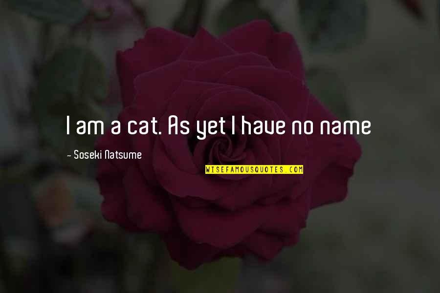 Fehrenbacher Isaac Quotes By Soseki Natsume: I am a cat. As yet I have