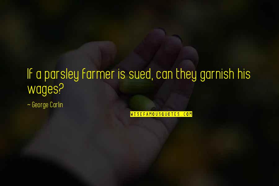 Fehsenfeld Drew Quotes By George Carlin: If a parsley farmer is sued, can they