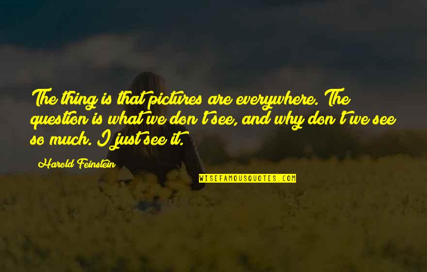 Feinstein Quotes By Harold Feinstein: The thing is that pictures are everywhere. The