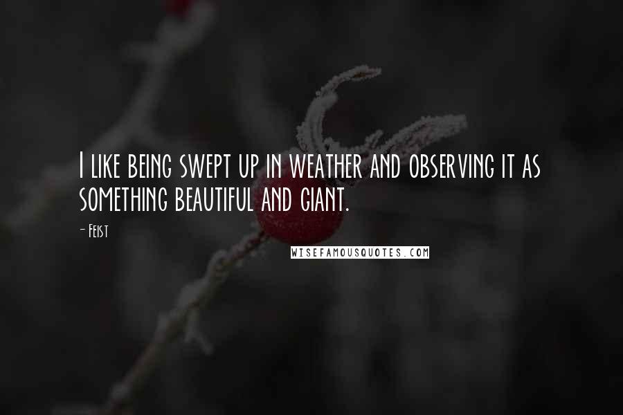 Feist quotes: I like being swept up in weather and observing it as something beautiful and giant.