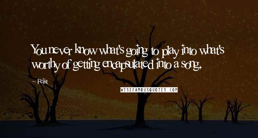 Feist quotes: You never know what's going to play into what's worthy of getting encapsulated into a song.