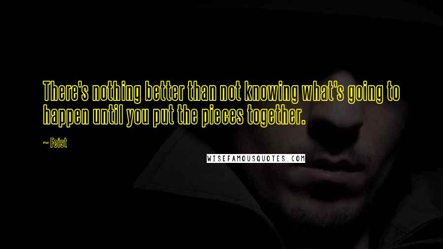 Feist quotes: There's nothing better than not knowing what's going to happen until you put the pieces together.