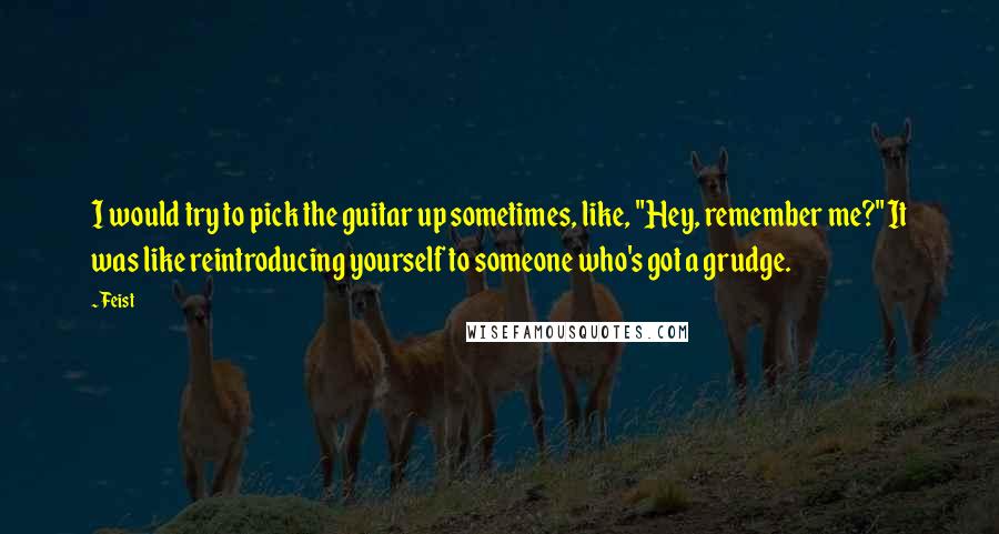 Feist quotes: I would try to pick the guitar up sometimes, like, "Hey, remember me?" It was like reintroducing yourself to someone who's got a grudge.