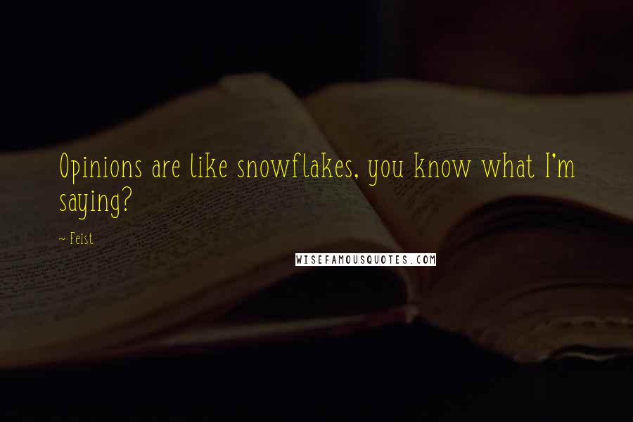 Feist quotes: Opinions are like snowflakes, you know what I'm saying?