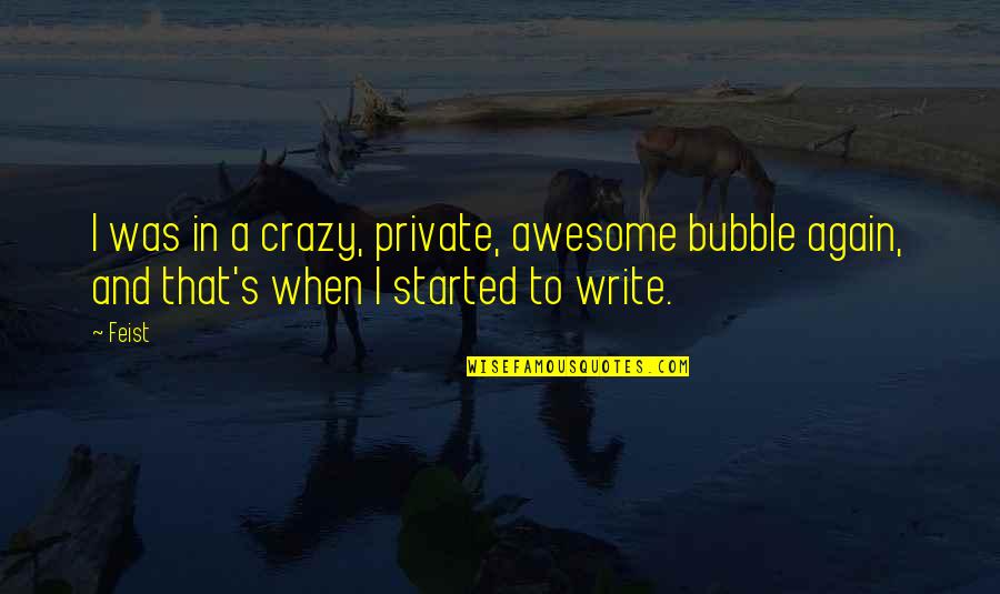 Feist Quotes By Feist: I was in a crazy, private, awesome bubble