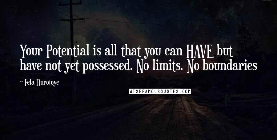 Fela Durotoye quotes: Your Potential is all that you can HAVE but have not yet possessed. No limits. No boundaries