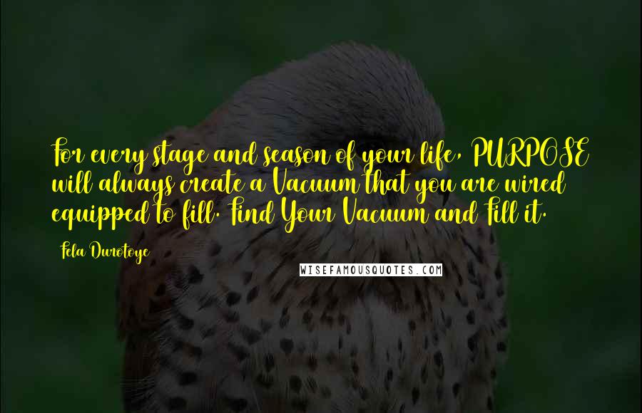 Fela Durotoye quotes: For every stage and season of your life, PURPOSE will always create a Vacuum that you are wired & equipped to fill. Find Your Vacuum and Fill it.