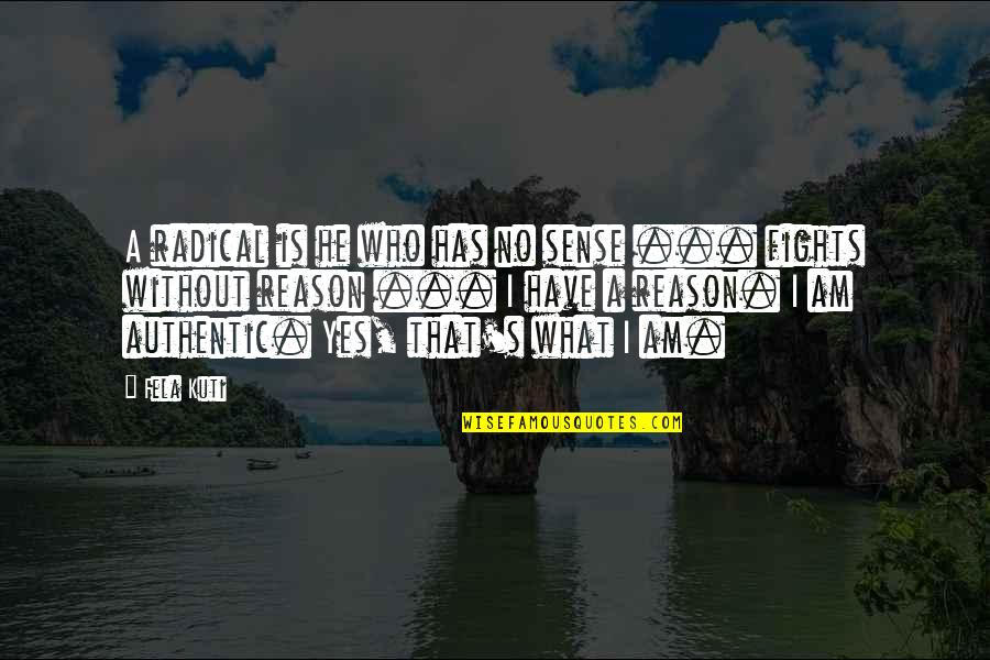 Fela Quotes By Fela Kuti: A radical is he who has no sense