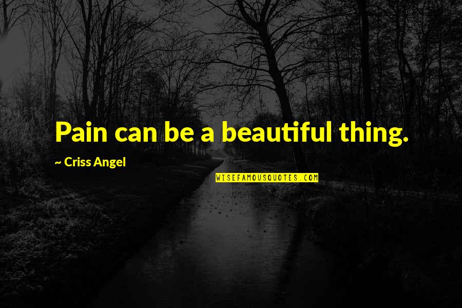 Feldmeier Trail Quotes By Criss Angel: Pain can be a beautiful thing. Feldmeier Trail Quotes By Criss Angel: Pain can be a beautiful thing.