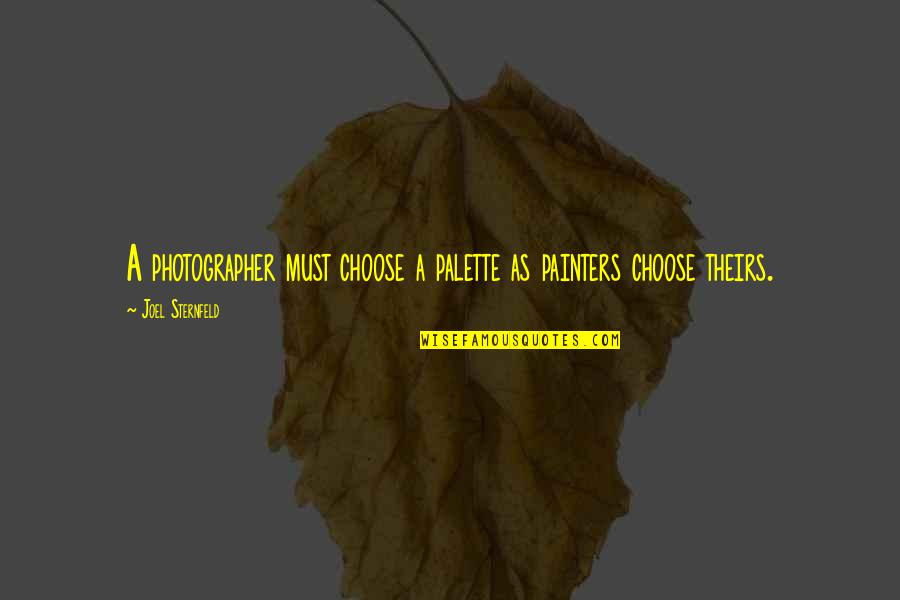 Felguerez Sculptures Quotes By Joel Sternfeld: A photographer must choose a palette as painters Felguerez Sculptures Quotes By Joel Sternfeld: A photographer must choose a palette as painters