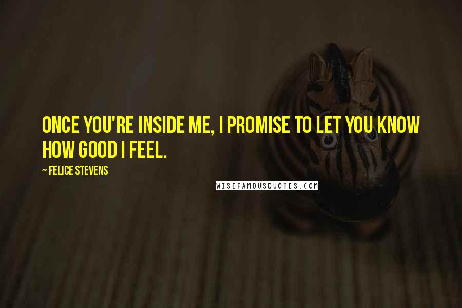 Felice Stevens quotes: Once you're inside me, I promise to let you know how good I feel.