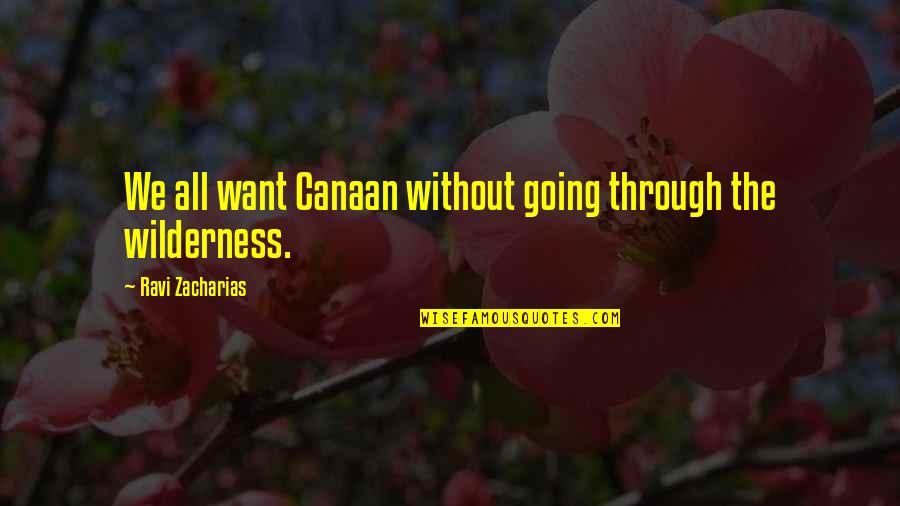 Felicja Blumenthal Quotes By Ravi Zacharias: We all want Canaan without going through the Felicja Blumenthal Quotes By Ravi Zacharias: We all want Canaan without going through the