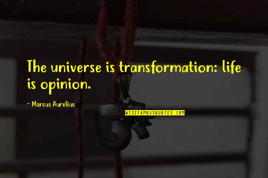 Feline Inspirational Quotes By Marcus Aurelius: The universe is transformation: life is opinion. Feline Inspirational Quotes By Marcus Aurelius: The universe is transformation: life is opinion.