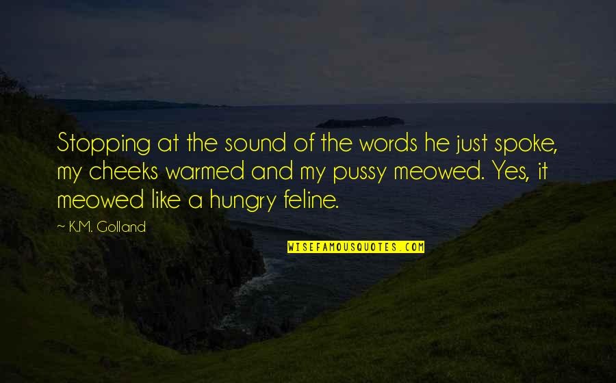 Feline Quotes By K.M. Golland: Stopping at the sound of the words he