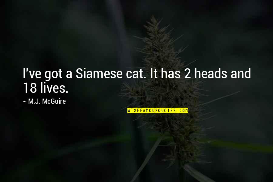Feline Quotes By M.J. McGuire: I've got a Siamese cat. It has 2