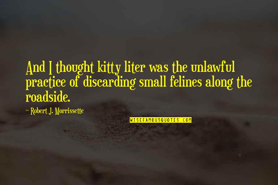 Felines Quotes By Robert J. Morrissette: And I thought kitty liter was the unlawful
