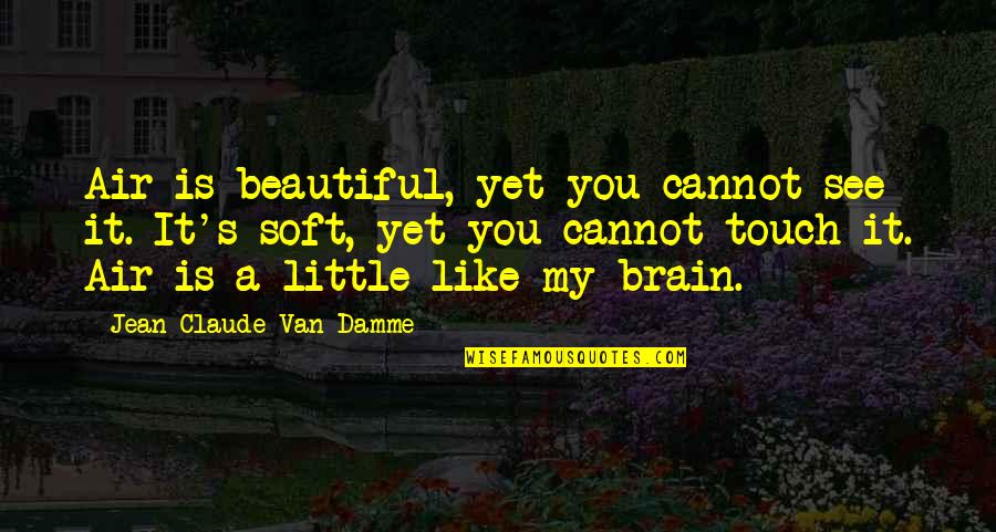 Felippe Barbosa Quotes By Jean-Claude Van Damme: Air is beautiful, yet you cannot see it.