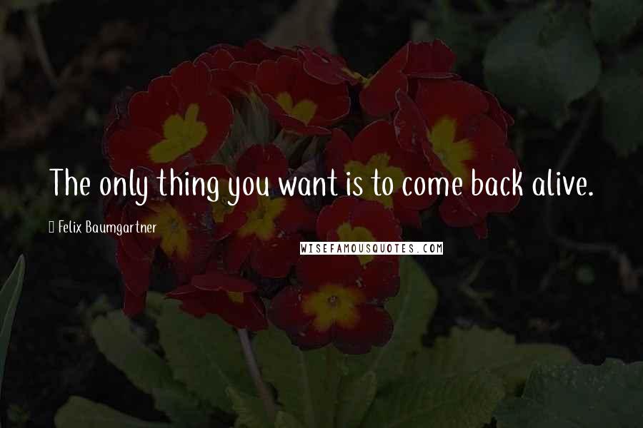 Felix Baumgartner quotes: The only thing you want is to come back alive.