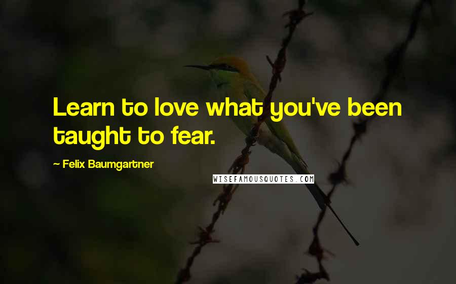 Felix Baumgartner quotes: Learn to love what you've been taught to fear.