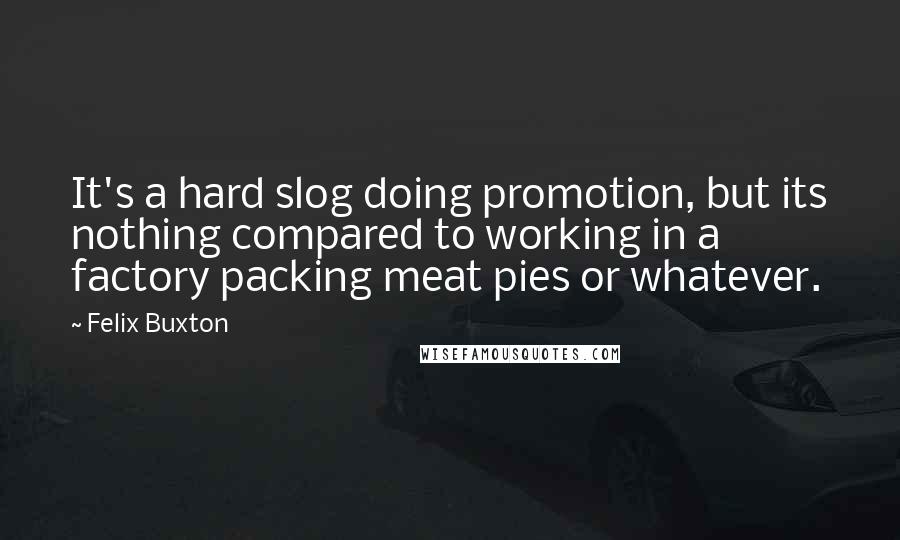 Felix Buxton quotes: It's a hard slog doing promotion, but its nothing compared to working in a factory packing meat pies or whatever.