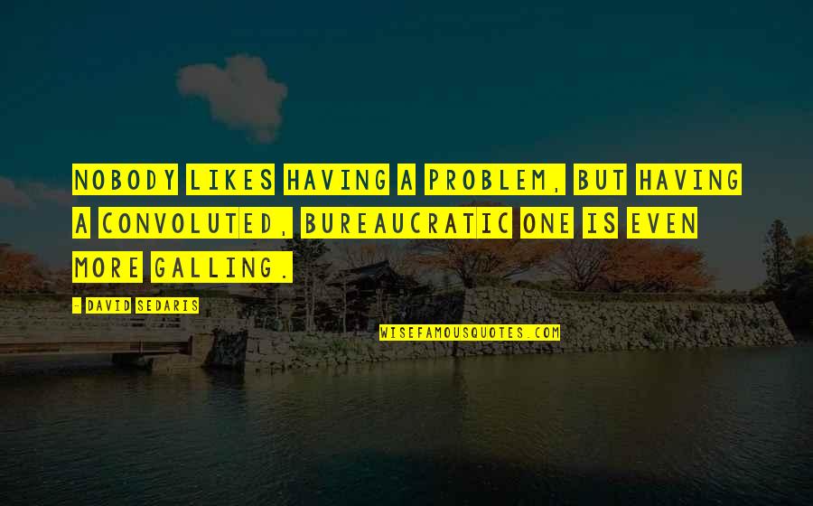 Felix Eboue Quotes By David Sedaris: Nobody likes having a problem, but having a Felix Eboue Quotes By David Sedaris: Nobody likes having a problem, but having a