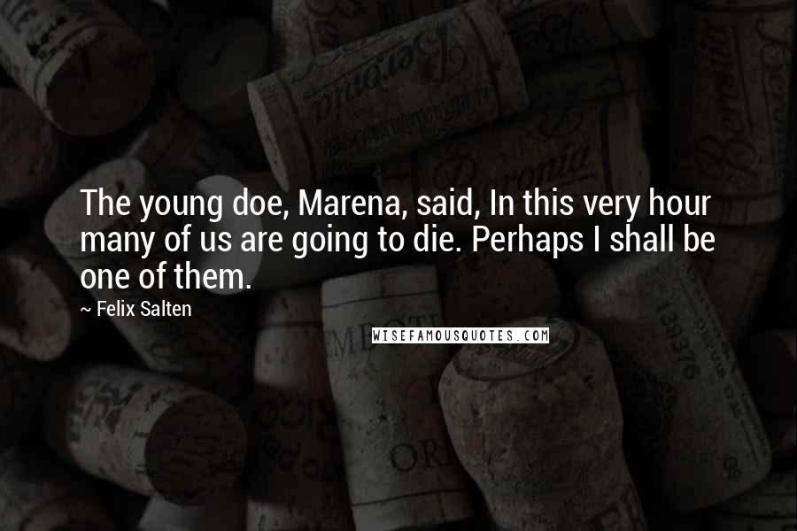 Felix Salten quotes: The young doe, Marena, said, In this very hour many of us are going to die. Perhaps I shall be one of them.