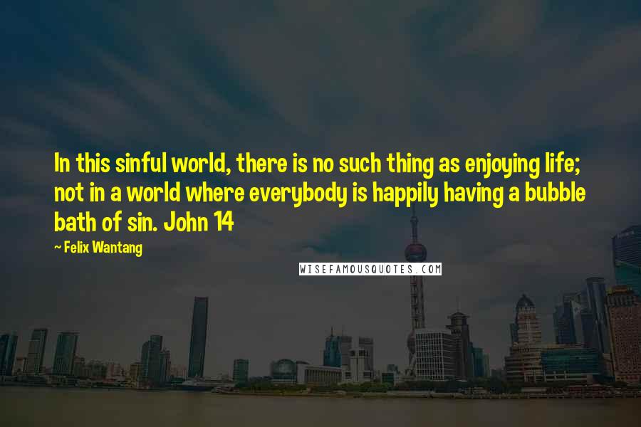 Felix Wantang quotes: In this sinful world, there is no such thing as enjoying life; not in a world where everybody is happily having a bubble bath of sin. John 14