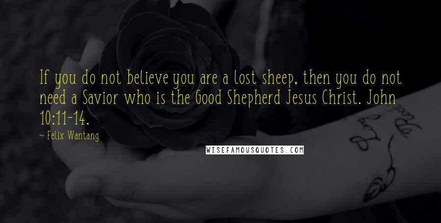 Felix Wantang quotes: If you do not believe you are a lost sheep, then you do not need a Savior who is the Good Shepherd Jesus Christ. John 10:11-14.