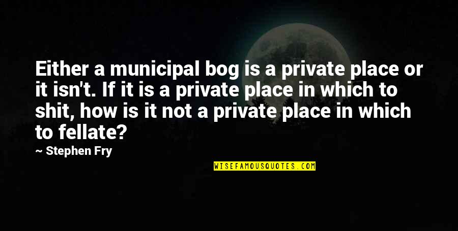 Fellatio Quotes By Stephen Fry: Either a municipal bog is a private place