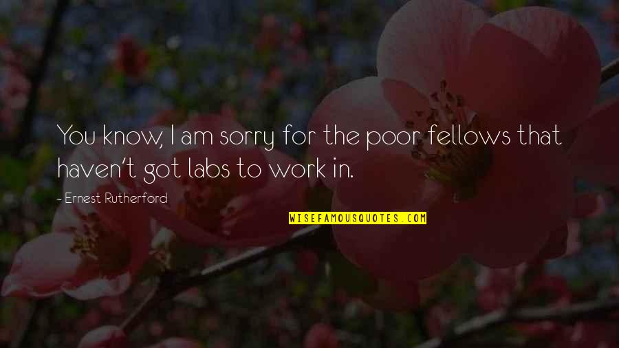 Fellows Quotes By Ernest Rutherford: You know, I am sorry for the poor