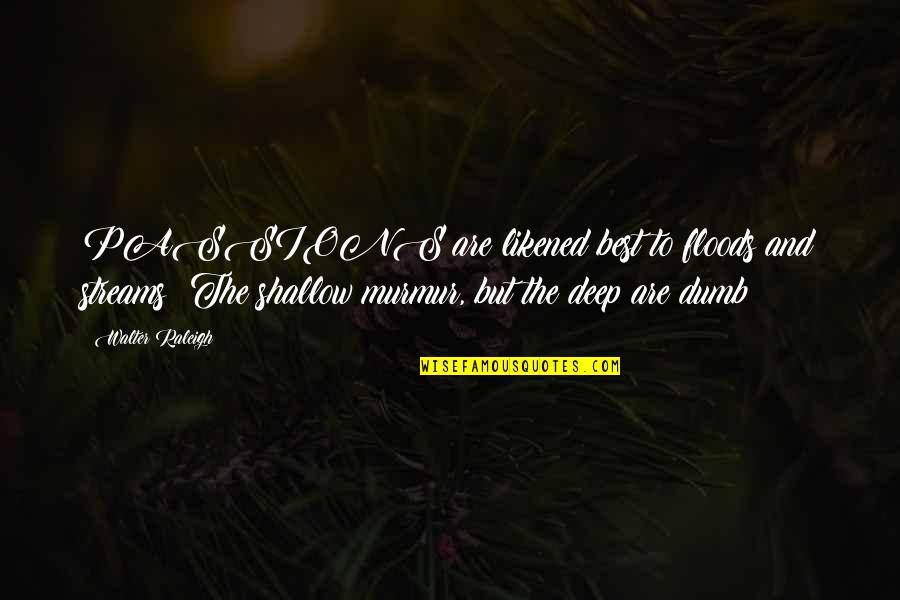 Fellowships For Doctoral Students Quotes By Walter Raleigh: PASSIONS are likened best to floods and streams: