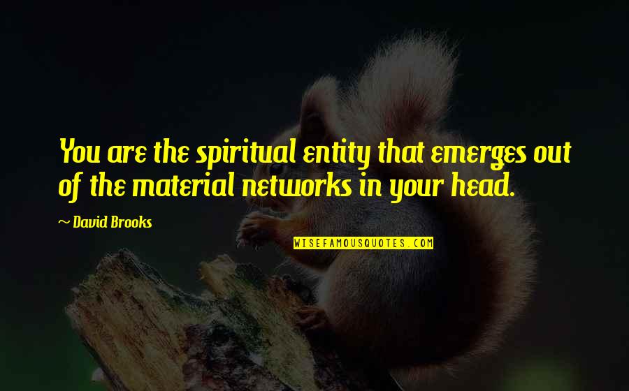 Felmeri Fairy Quotes By David Brooks: You are the spiritual entity that emerges out