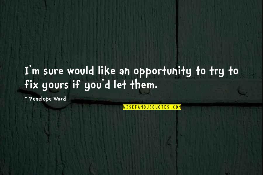 Felmlee Oil Quotes By Penelope Ward: I'm sure would like an opportunity to try