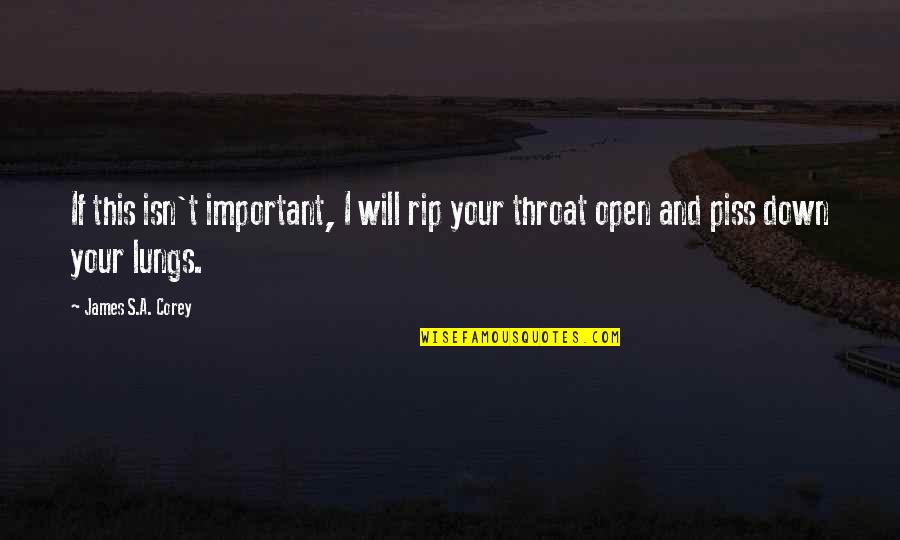Felo Quotes By James S.A. Corey: If this isn't important, I will rip your