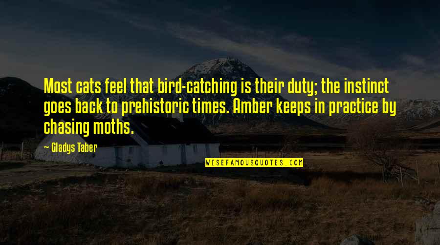 Felons In Your Neighborhood Quotes By Gladys Taber: Most cats feel that bird-catching is their duty; Felons In Your Neighborhood Quotes By Gladys Taber: Most cats feel that bird-catching is their duty;