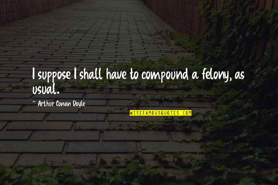 Felony Quotes By Arthur Conan Doyle: I suppose I shall have to compound a